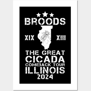 Great Cicada Comeback Tour Illinois 2024 Cicada Broods XIII and XIX Posters and Art